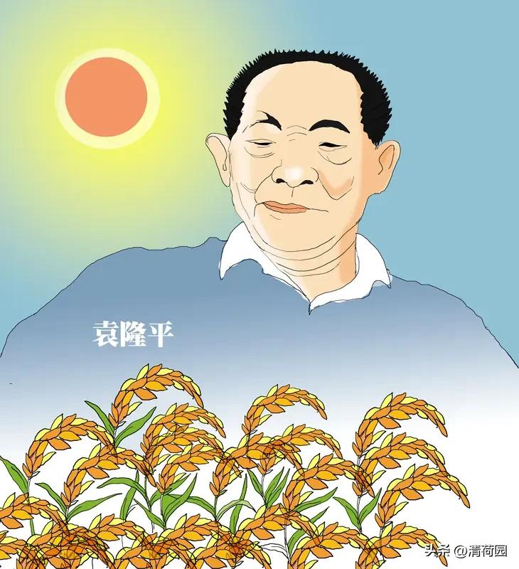 杨某诋毁袁隆平院士科研成果被刑拘端起碗吃饭，放下碗砸锅？把国士的心血当流量密码，