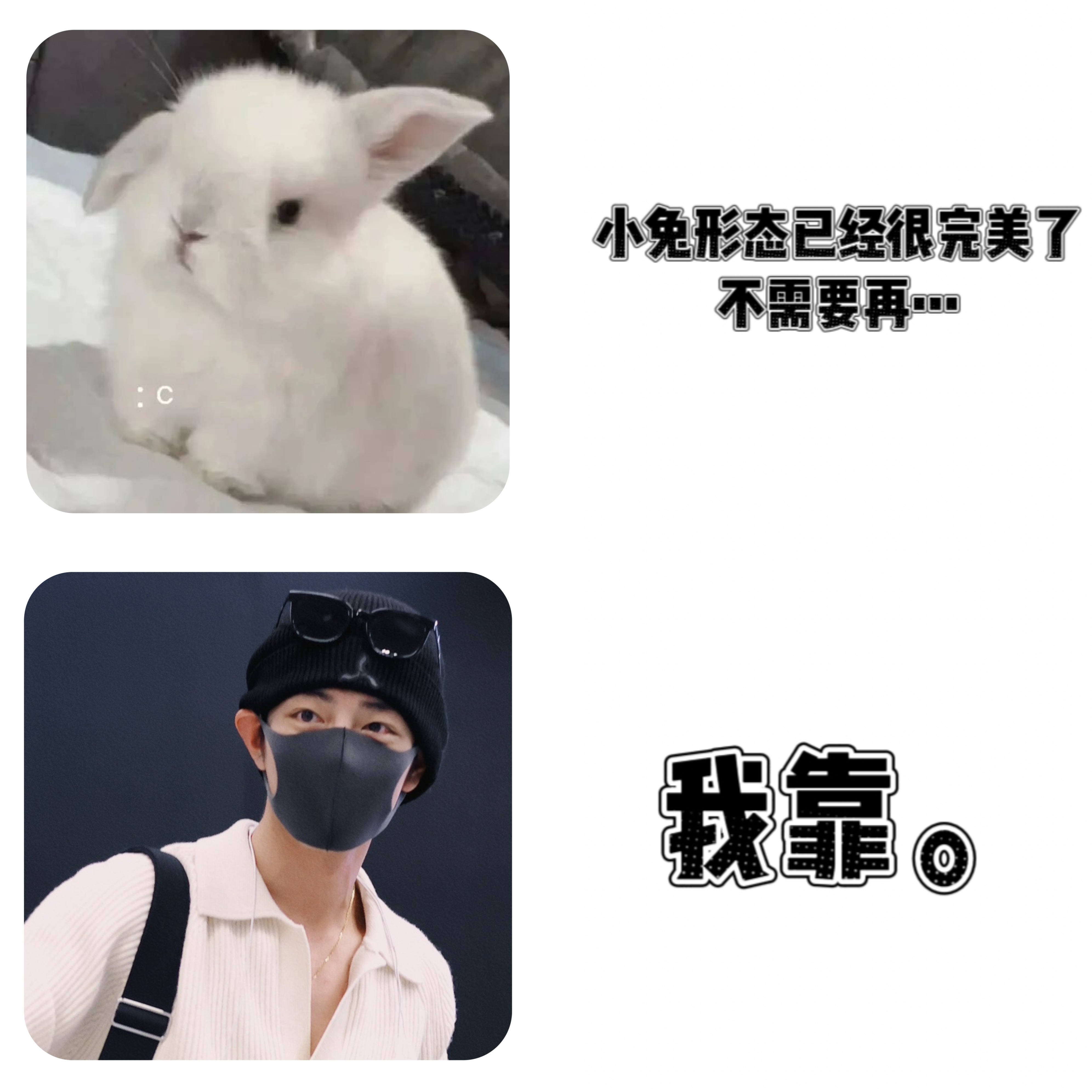 搞一些萌萌的我靠！ 