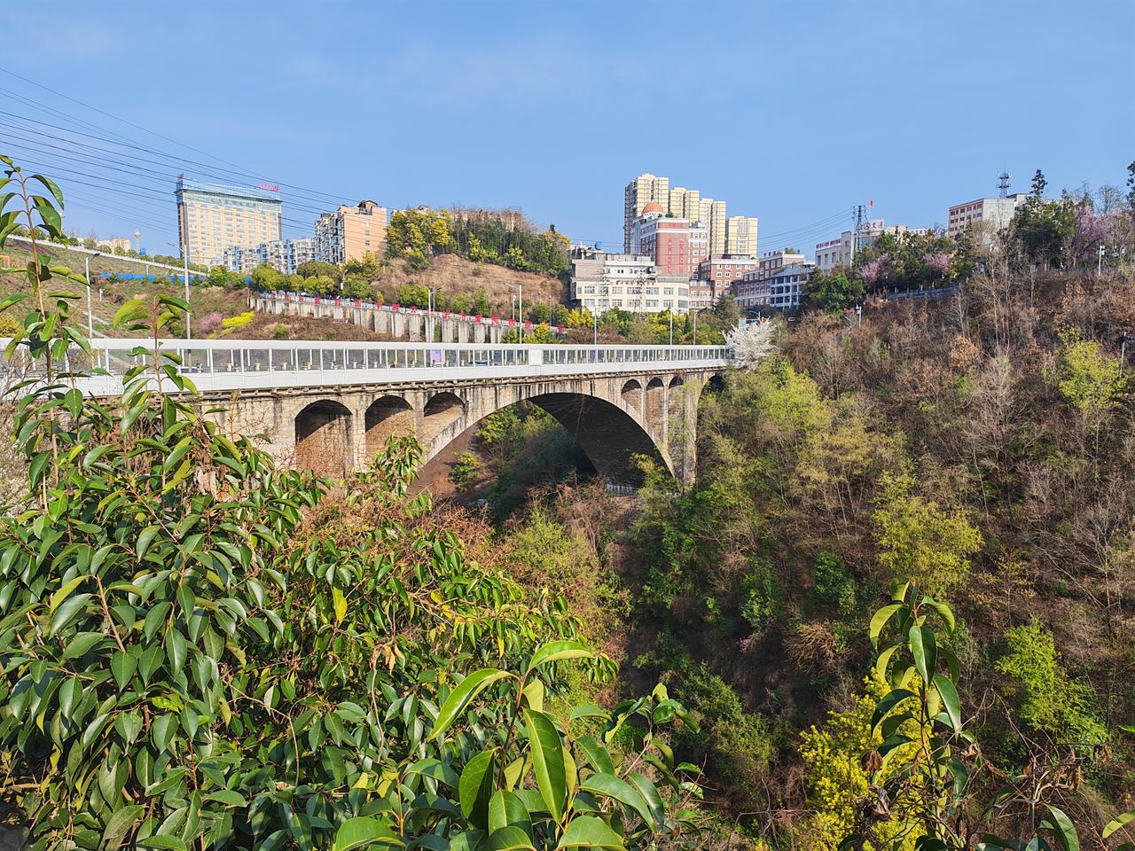 一个西安文友的长篇小说《长安的神医》写得很好，也不知道为什么断更了？
可惜呀！