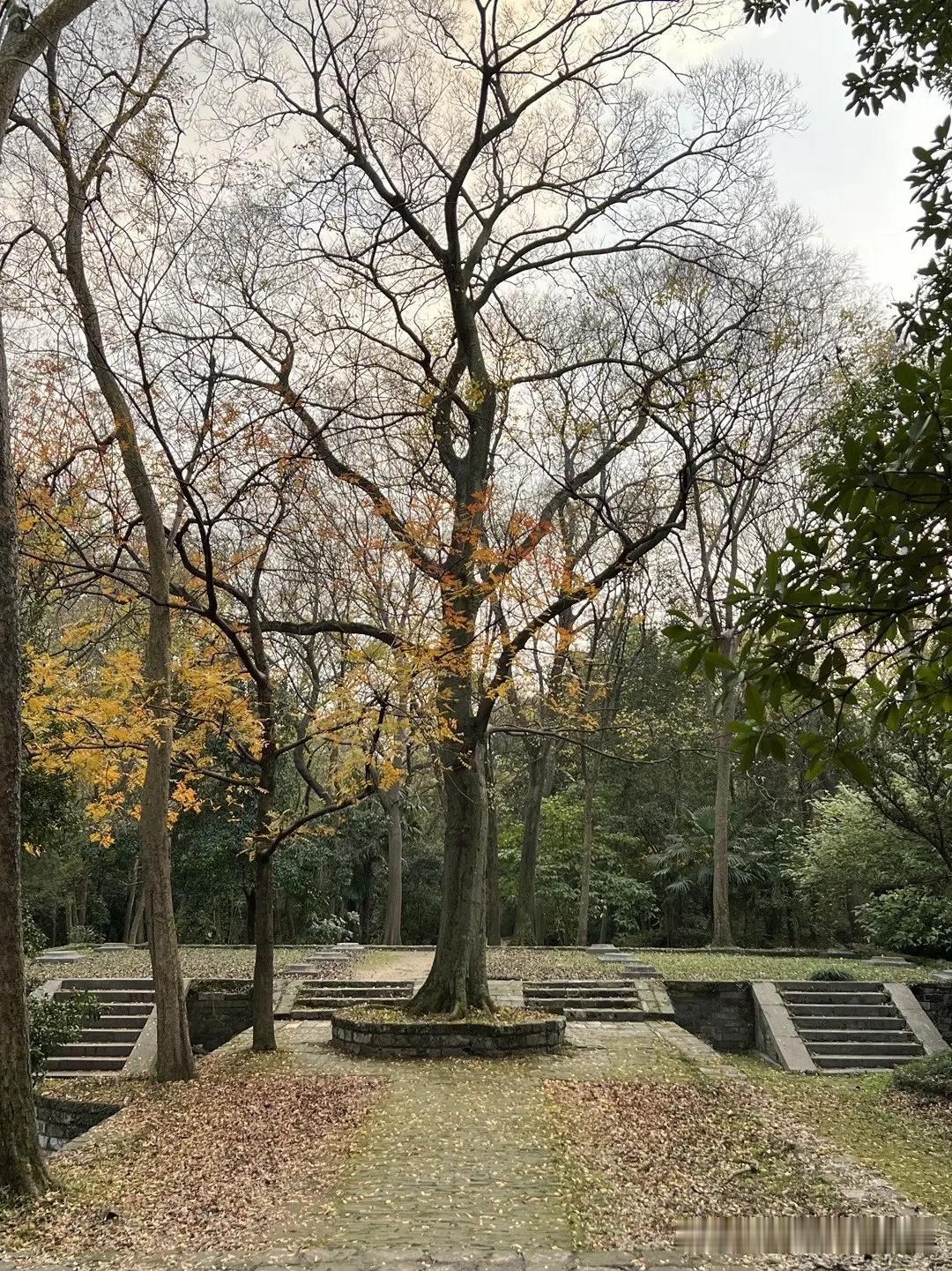 春日打卡明东陵｜钟山风景区徒步路线

春天总想找个既能感受历史又能亲近自然的地方