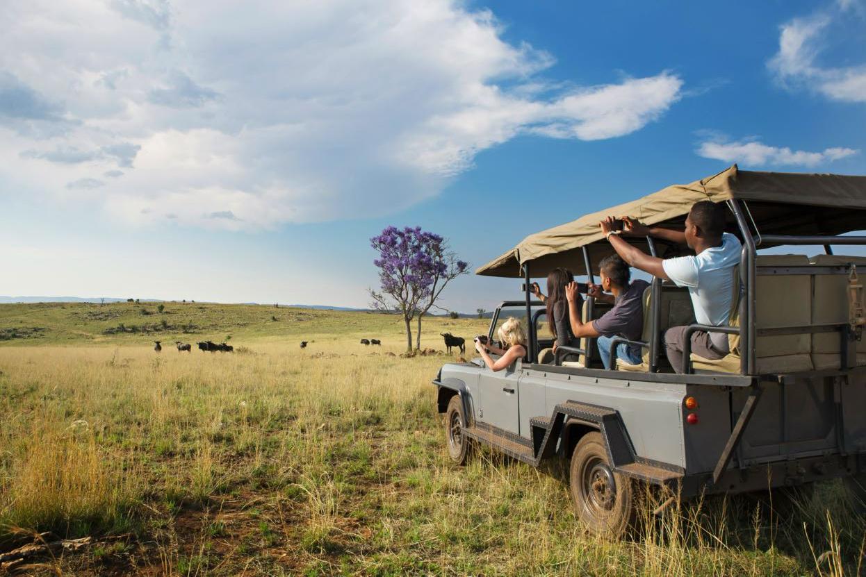雷佳音私藏的南非！72小时出签，去彩虹之国过夏天
新年在开普敦的波卡普区糖果色斜