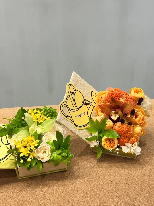 致人生中的每一位恩师✨🌳📖✨