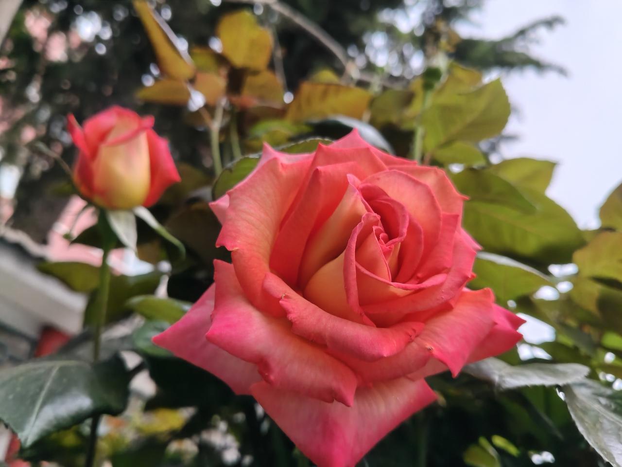 男人什么时候最丢人？
1.没车不丢人。
2.没房不丢人。 
3.暂时失业不丢人。