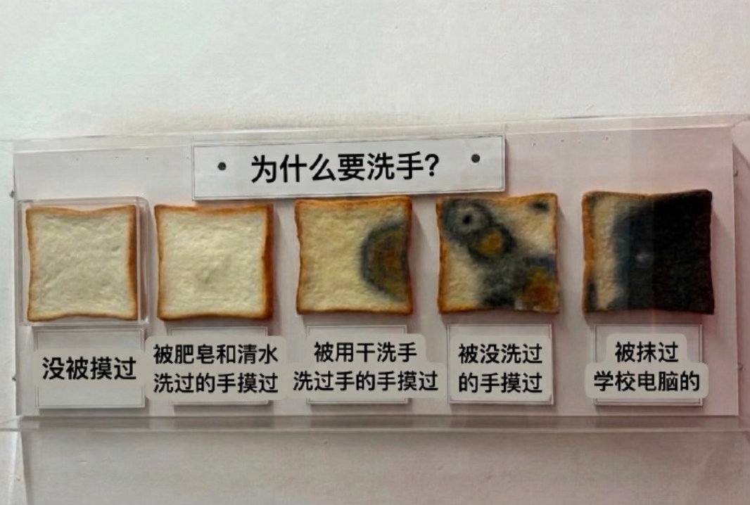 面包被四种手摸过的差别 