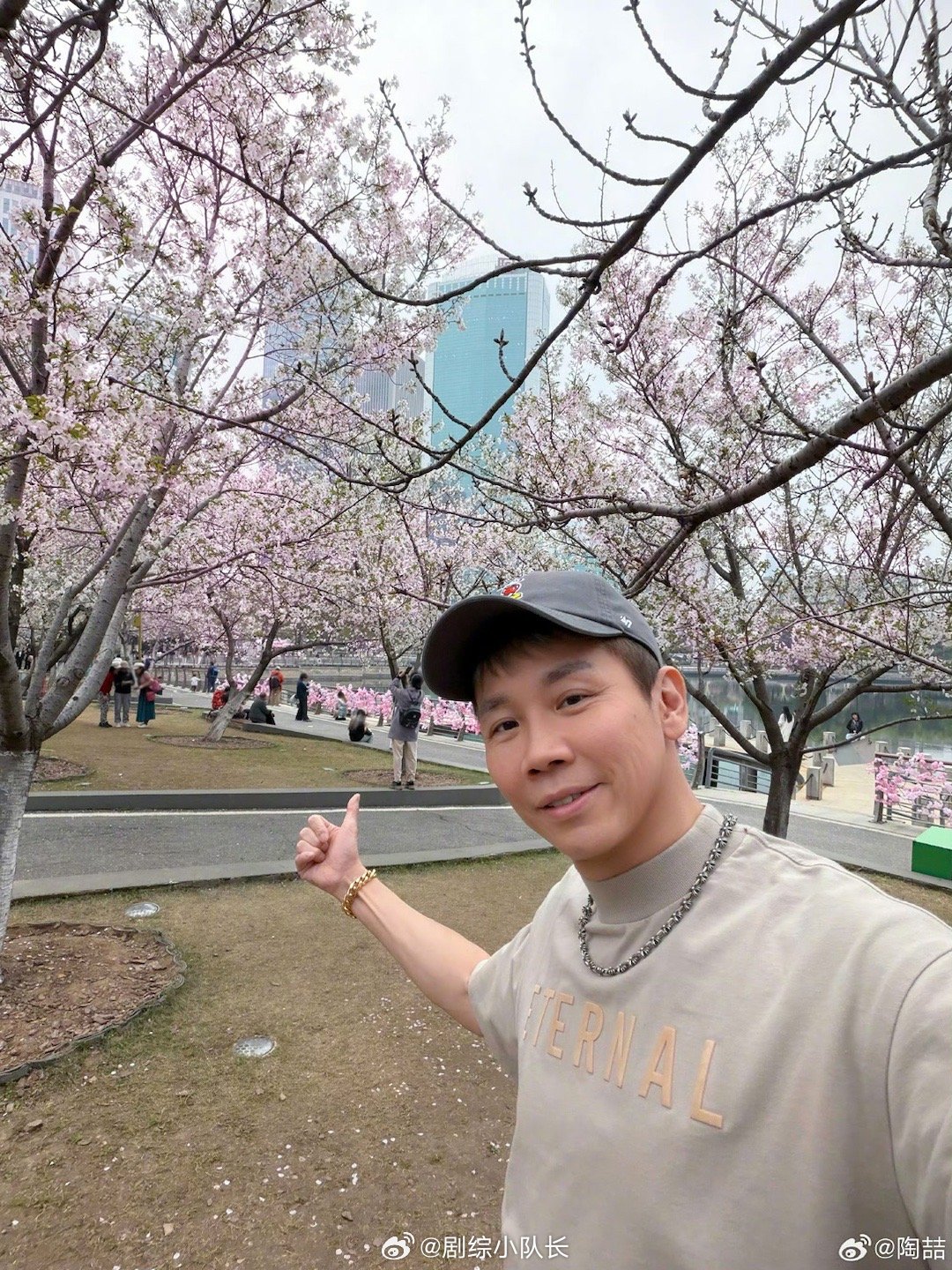 陶喆180度樱花自拍 被陶喆的樱花自拍可爱到了，旋转180度找角度的样子，跟我旅