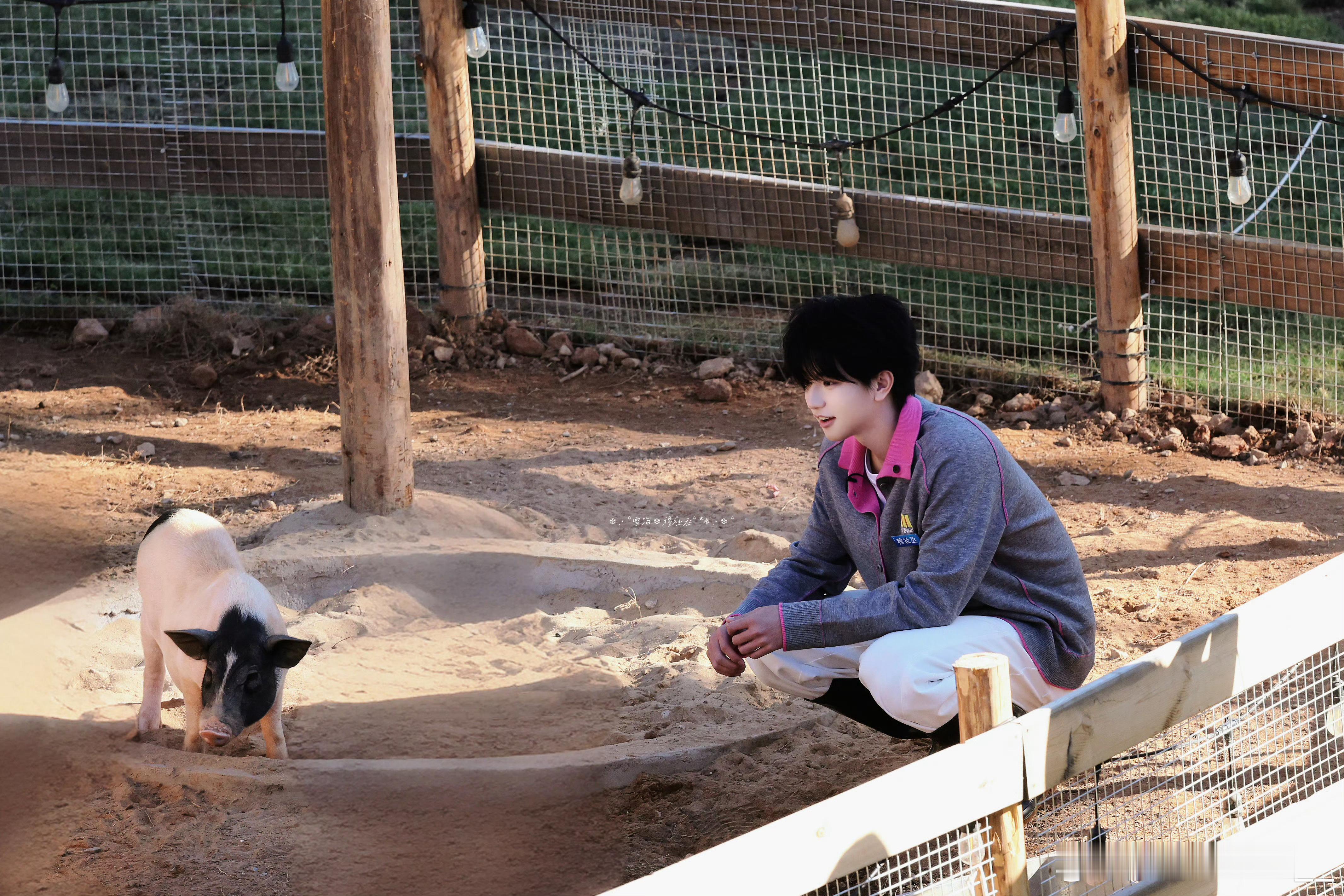 🍊 “星星在夜晚散落，太阳渐渐聚集橘黄，斜阳落在你身 黛眉满是温柔.”