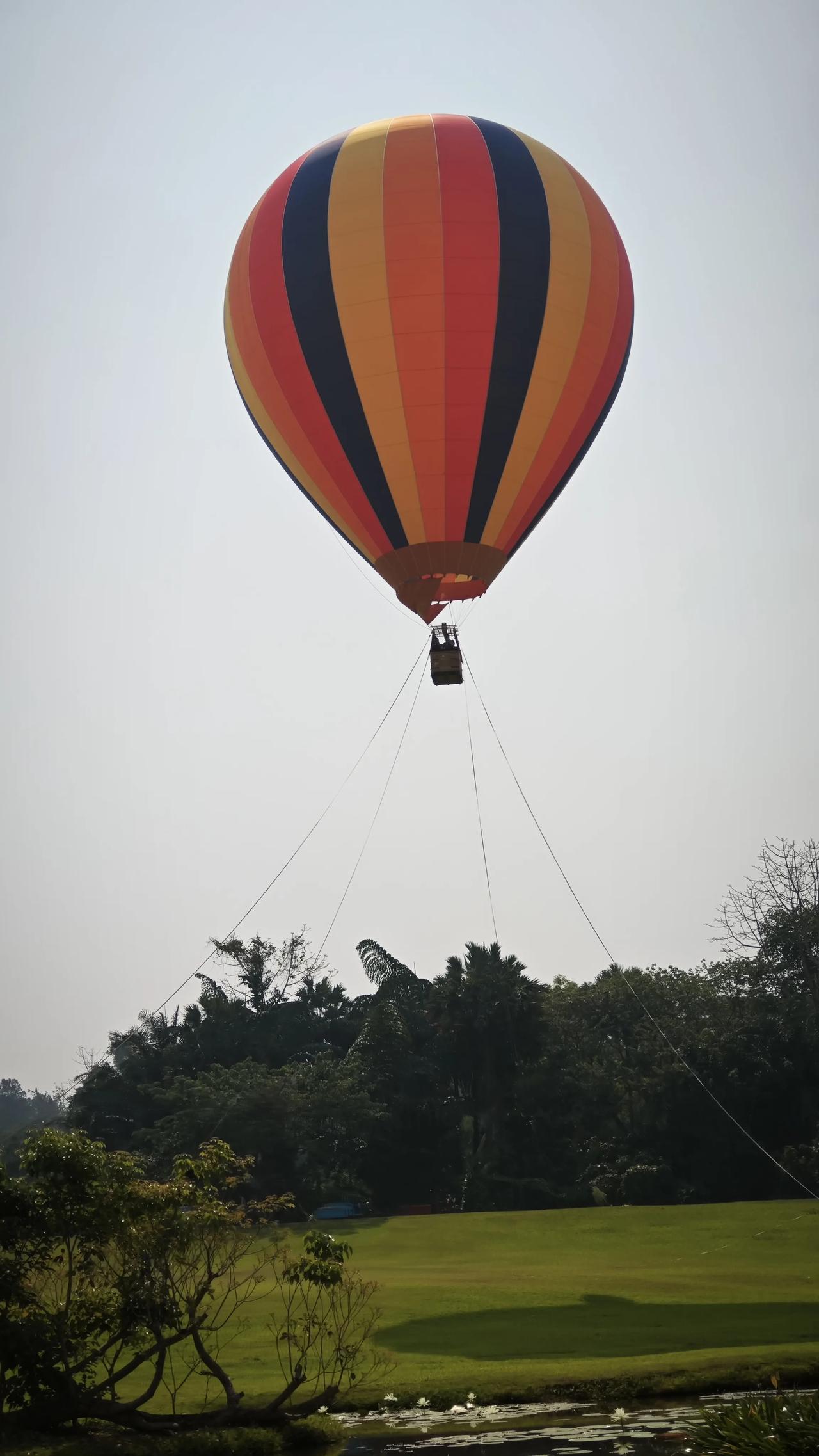 春日生活打卡季乘着热气球缓缓升空，把整片绿意与晴空都拥入怀中，风里都是自由的味道