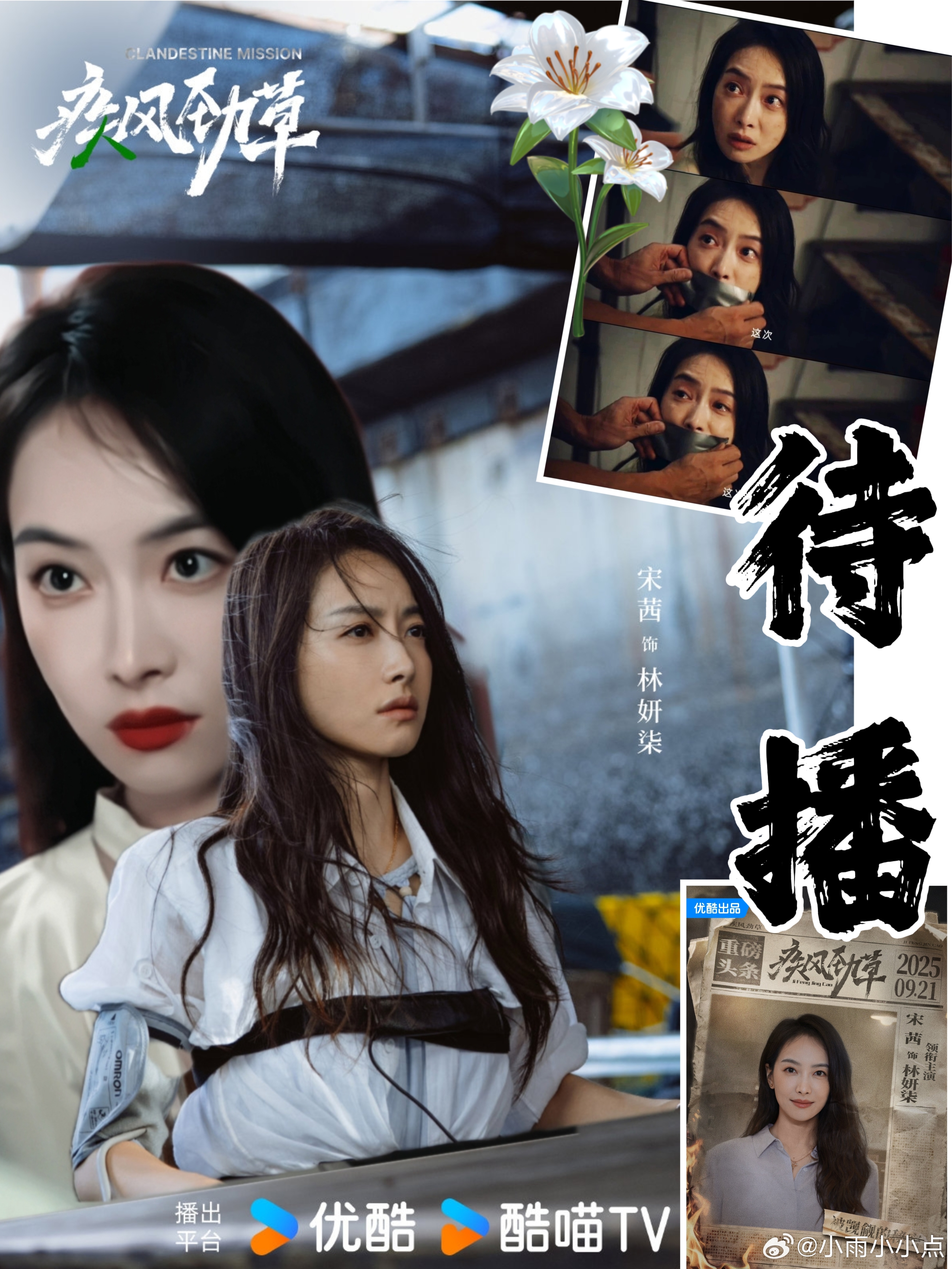 宋茜疾风劲草宋茜林妍柒 阳光与你都是温暖且美好的