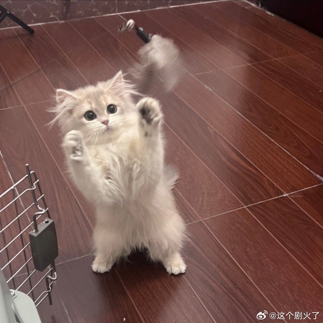 朋友圈背景图。 