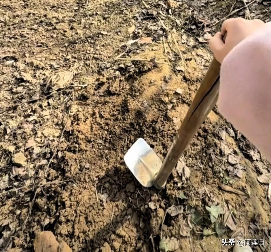 有人说，这个法律上100%居民违法，那为什么没有人制止呢？很多一楼居民把门前绿化