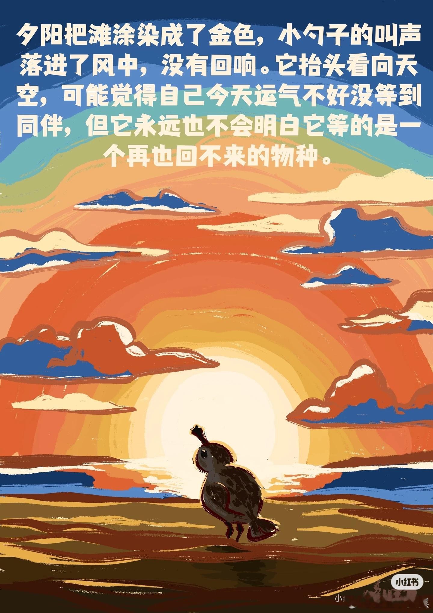 勺嘴鹬观鸟 高中生昨晚，鱼姐问我，知不知道广西G228事件。我说知道，最近几天看