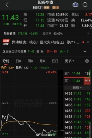 【股价重挫逾12%,“橡胶助剂龙头”阳谷华泰火灾事故波及A股！事涉公司核心工厂，