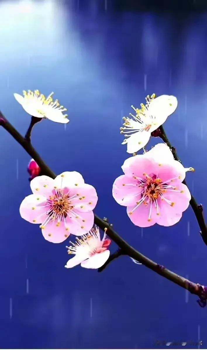 
 
“秋日的风，吹走了夏日的浮躁，带来了内心的宁静，让我明白，每一个季节的更替