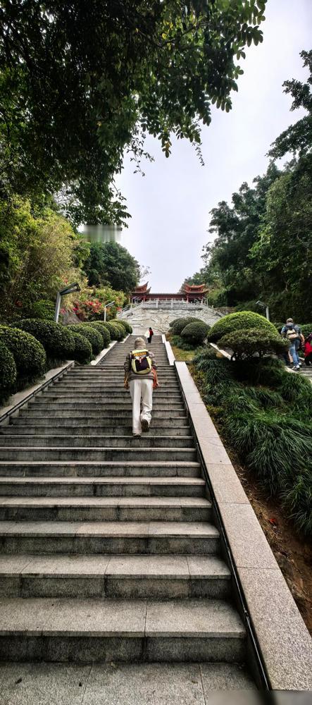 贺娇龙的落幕，从来不是突如其来的意外。从她以策马雪原的形象闯入公众视野、一夜成名