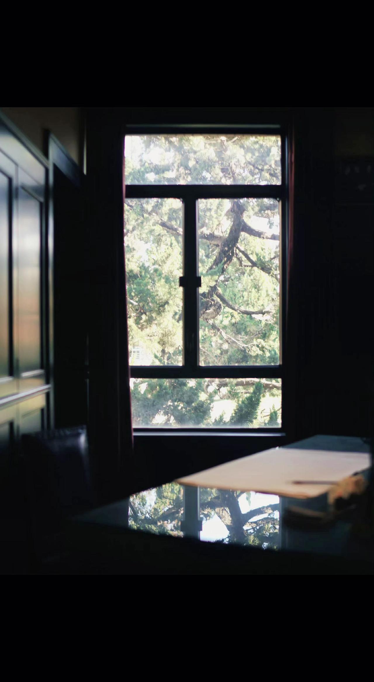 🌿窗棂框住流动的绿，墨色桌面盛着树影碎片。孤独是安静的狂欢，留白处自有风起🌪