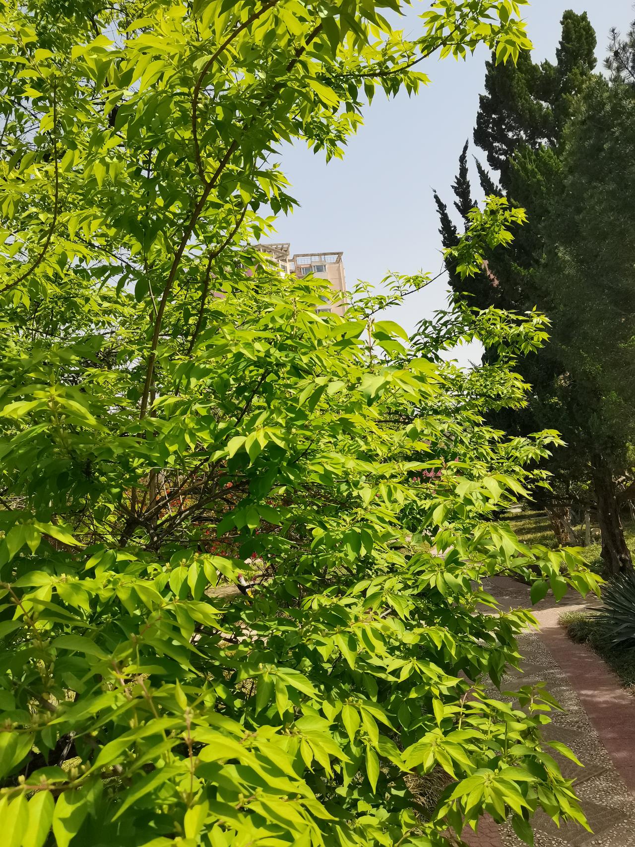 孔子老圣人说：“唯上智与下愚不移”[合十]追求真理的人和追求面子的人本质上是一样