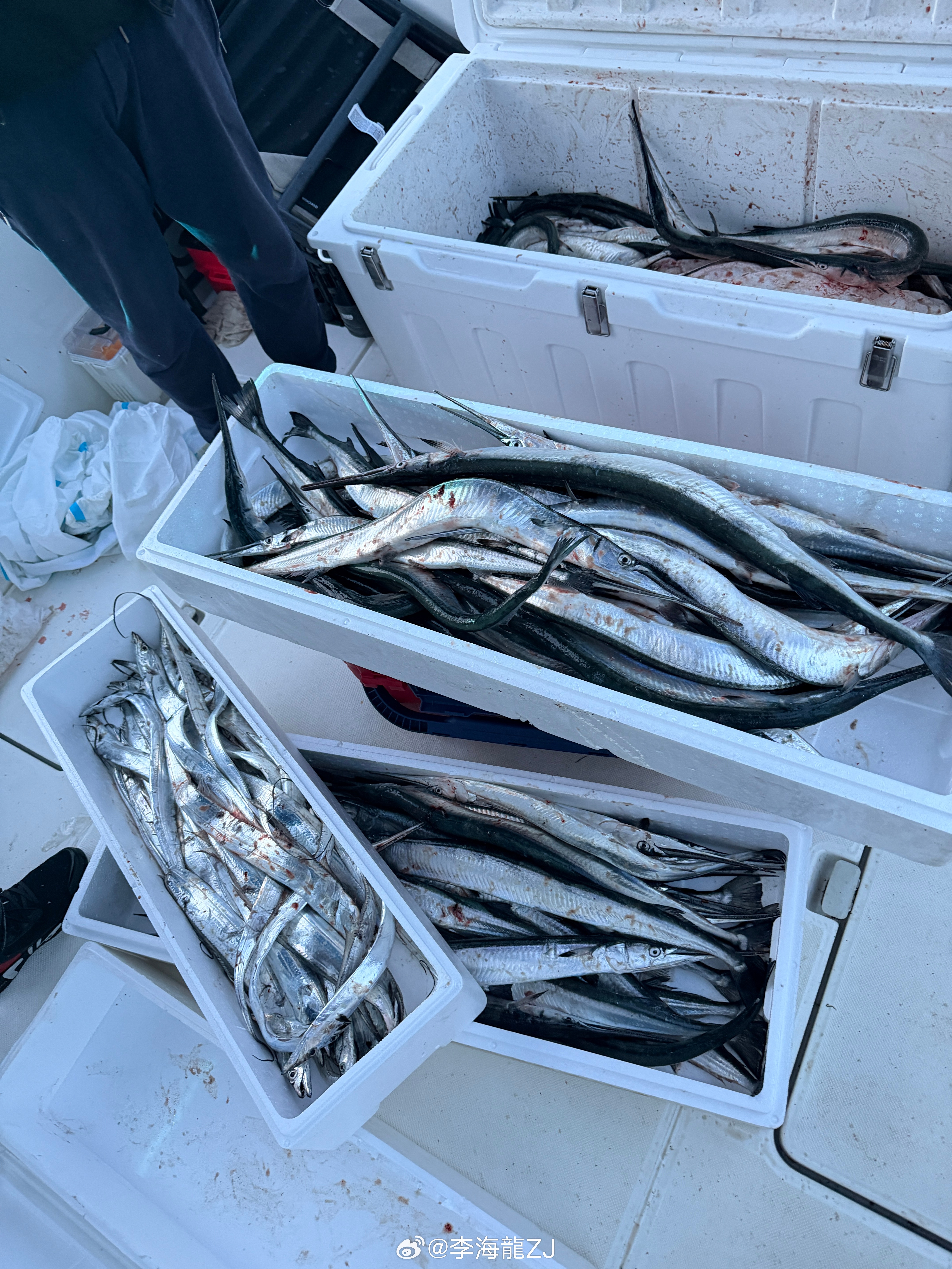 钓鱼🎣活动结束.返杭开工✈️ 大连·大连周水子国际机场