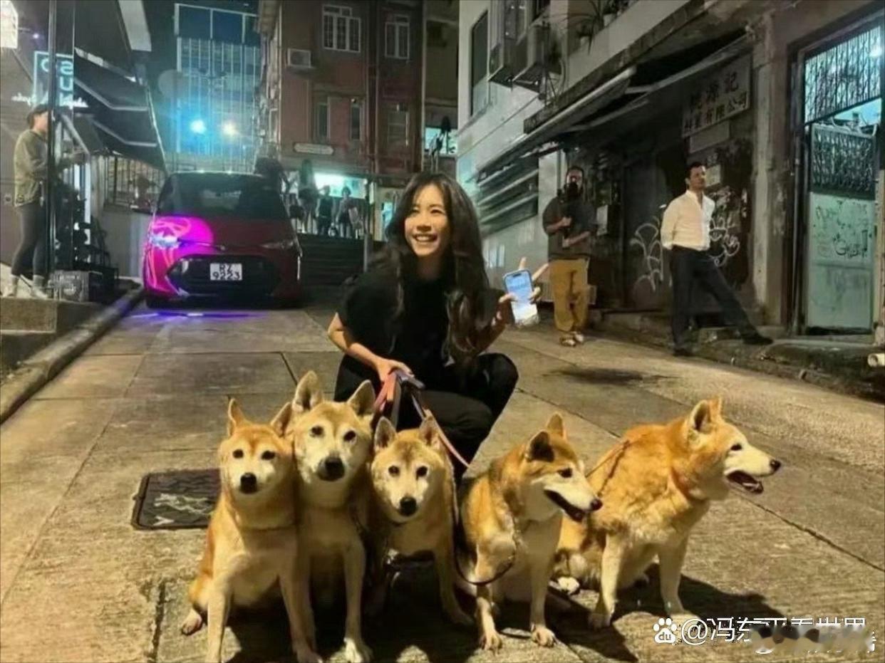 莫文蔚每天遛她的5只爱犬。莫文蔚没有子女 ，把所有的爱都给了可爱的狗狗们。 ​​