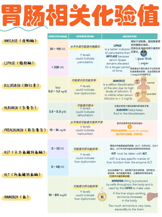 备考RN/肠胃相关化验！！学！！内容