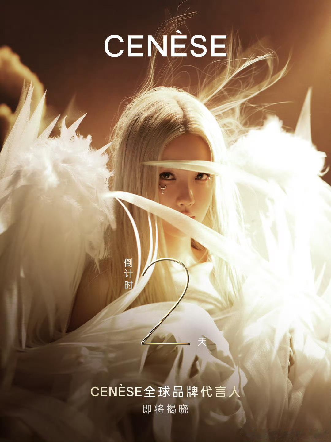 小卡小卡我的钱包准备好了！ 