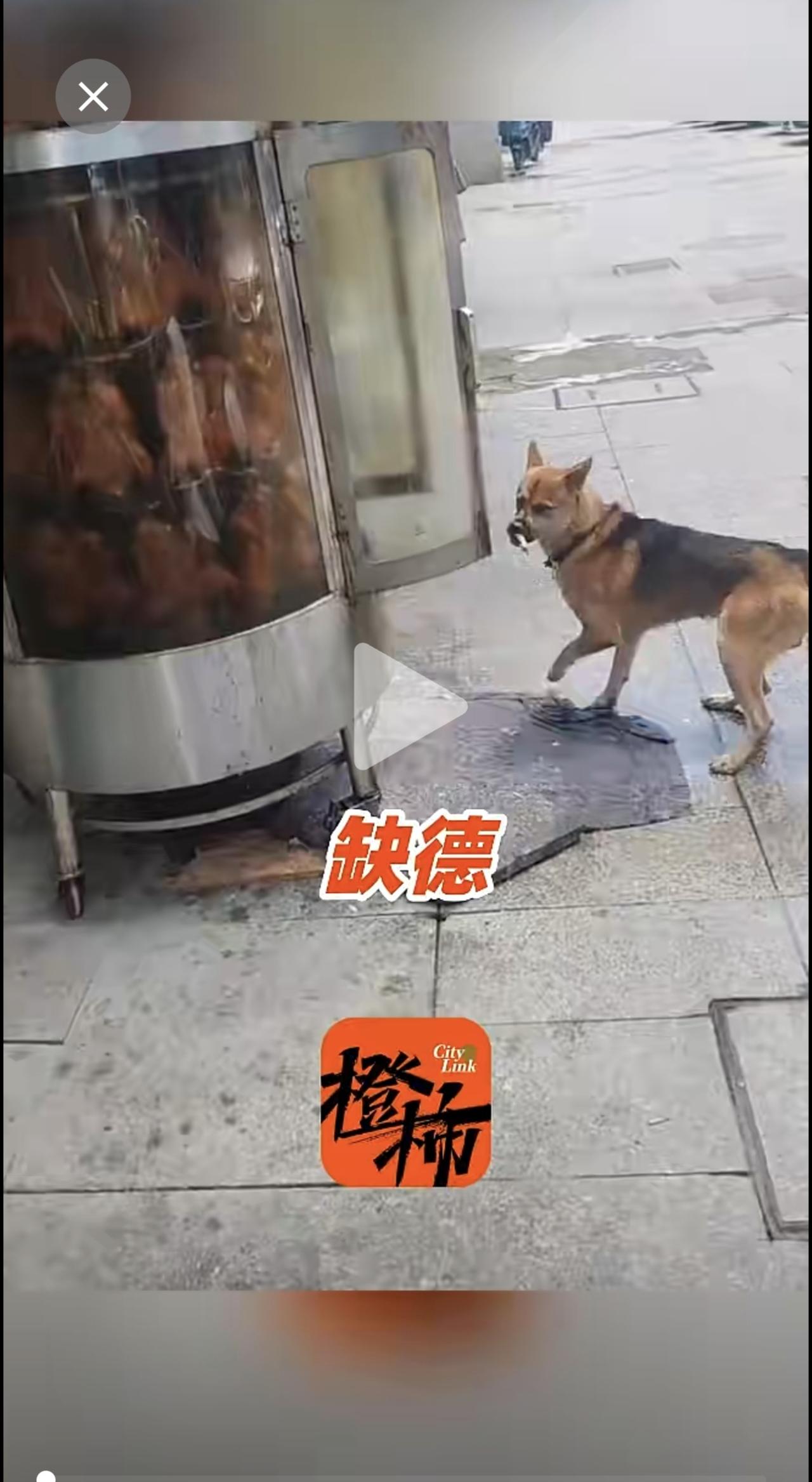 烤鸭炉遭人恶意打开让狗啃食，店主：已报警并上报市监局，损失七八百，食材全销毁