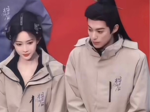 王鹤棣孟子义的《将门独后》有网友粉丝不看好，因孟子义不是一番了，原著是大女主改成