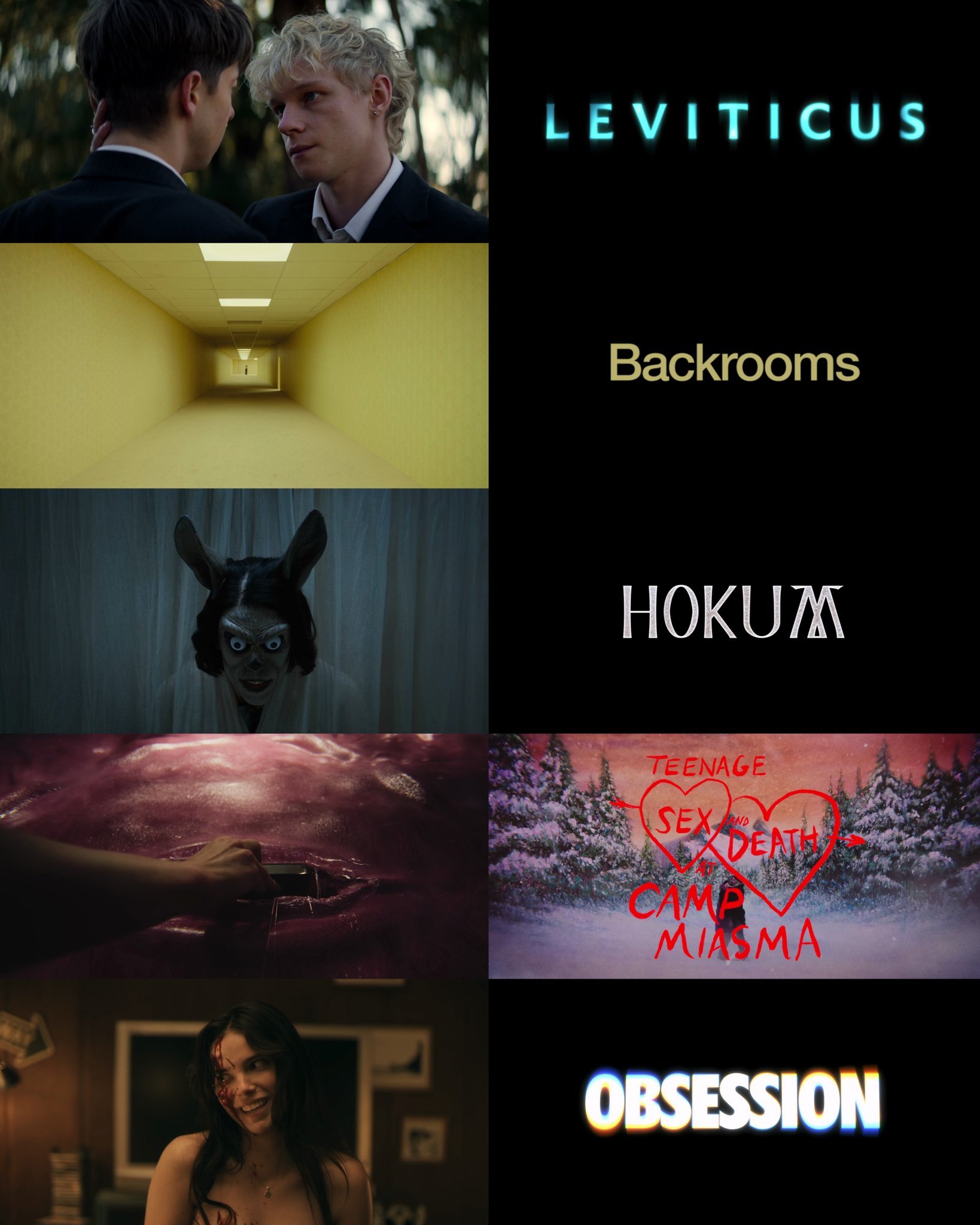 今年恐怖片吃的真好啊 五六月obsession/backrooms/leviti