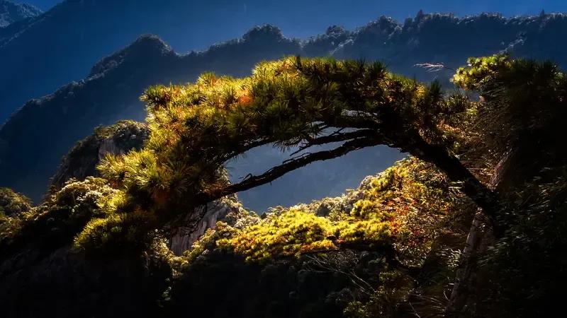 石间流水千年秀，
岭顶劲松万代青。