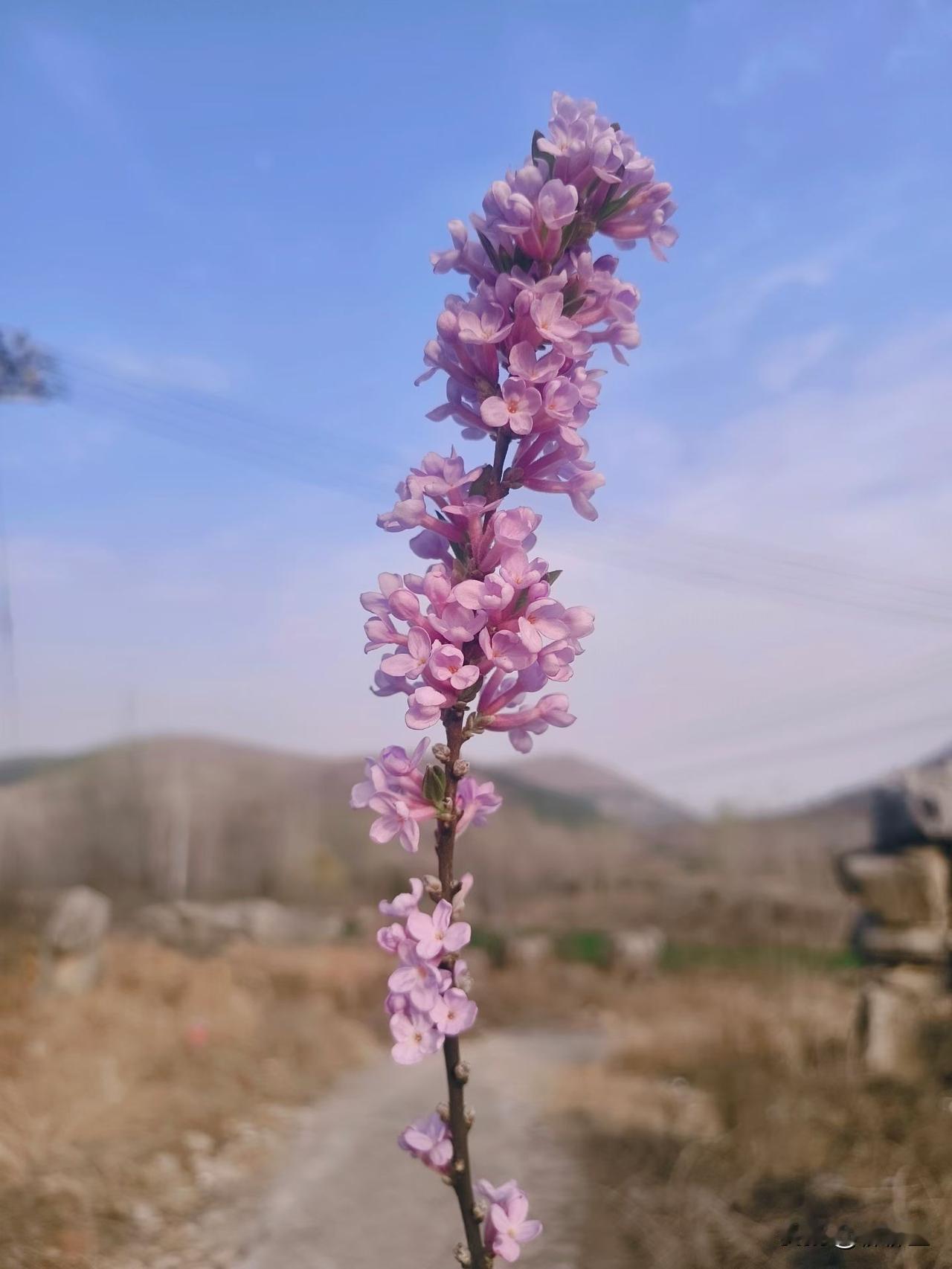 中国历史上625位皇帝一位姓张的都没有
你知道是为什么吗？

灶王爷叫张奎
土地