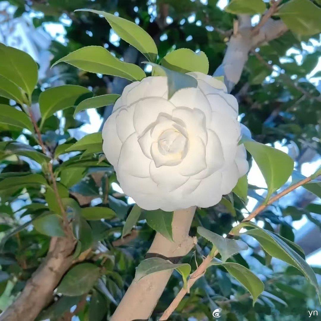 权重[超话]每一处风景都是生命的驿站，用乐观的心看待万物，心则如山花般烂漫。 知