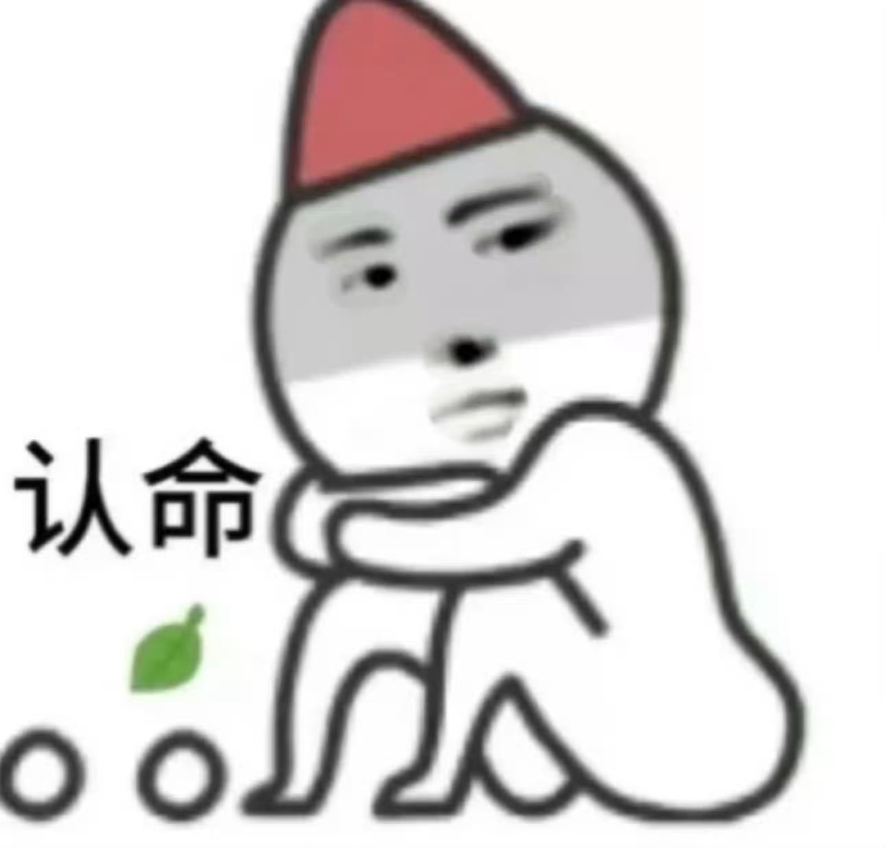 自从签售上朴成训拿了那个抱枕 我各个平台到处都是朴蛋 ​​​