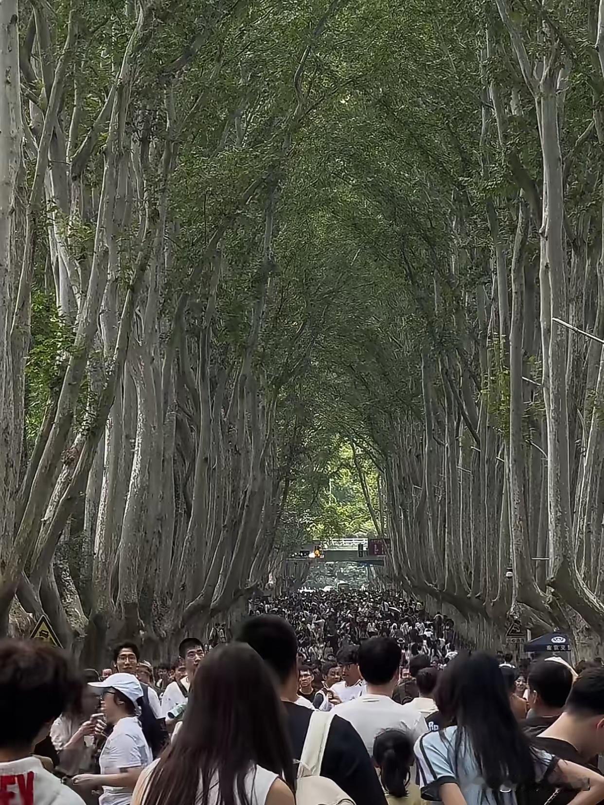 听句劝！2025国庆的南京真别来了，来了纯属遭罪！红山动物园门口排俩小时队进不去