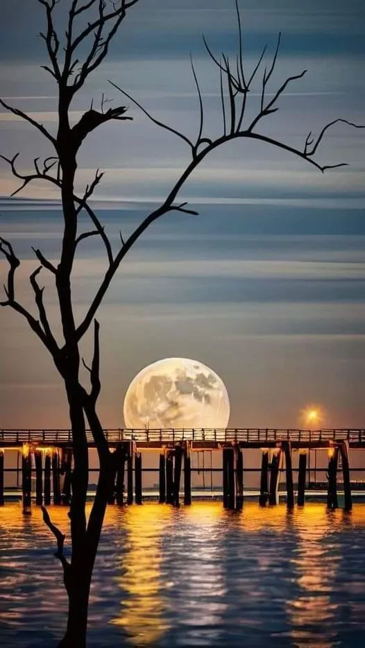 美图欣赏——安静的夜晚