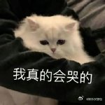 突然发现了薯片的神仙吃法 自制薯片，简直是追剧时的小秘密！当香气弥漫，整个人都被