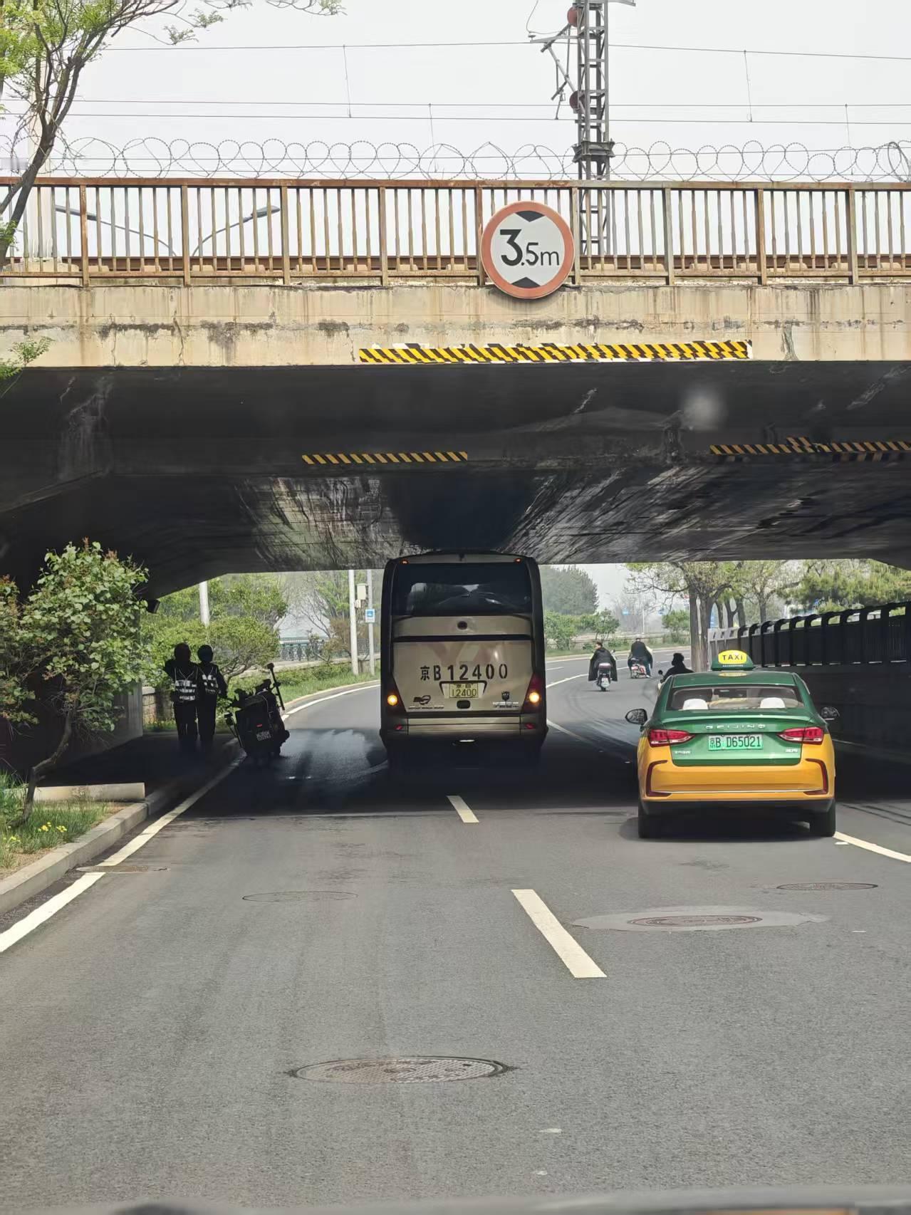 车若初见被剃秃瓢了