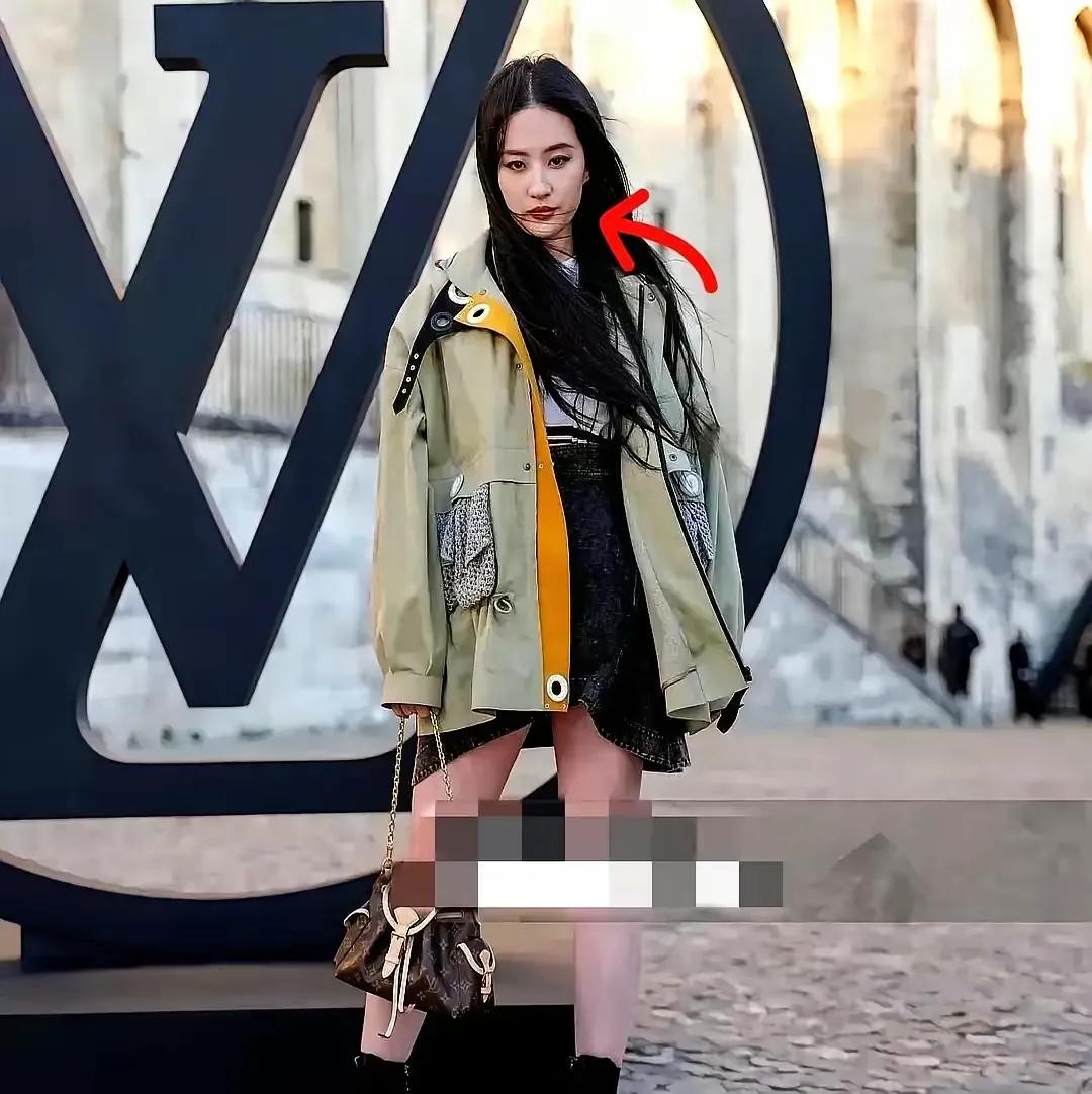 刘亦菲：直出图和精修图之间的距离。
emn…，就像农民工和在开演唱会的谢霆锋之间