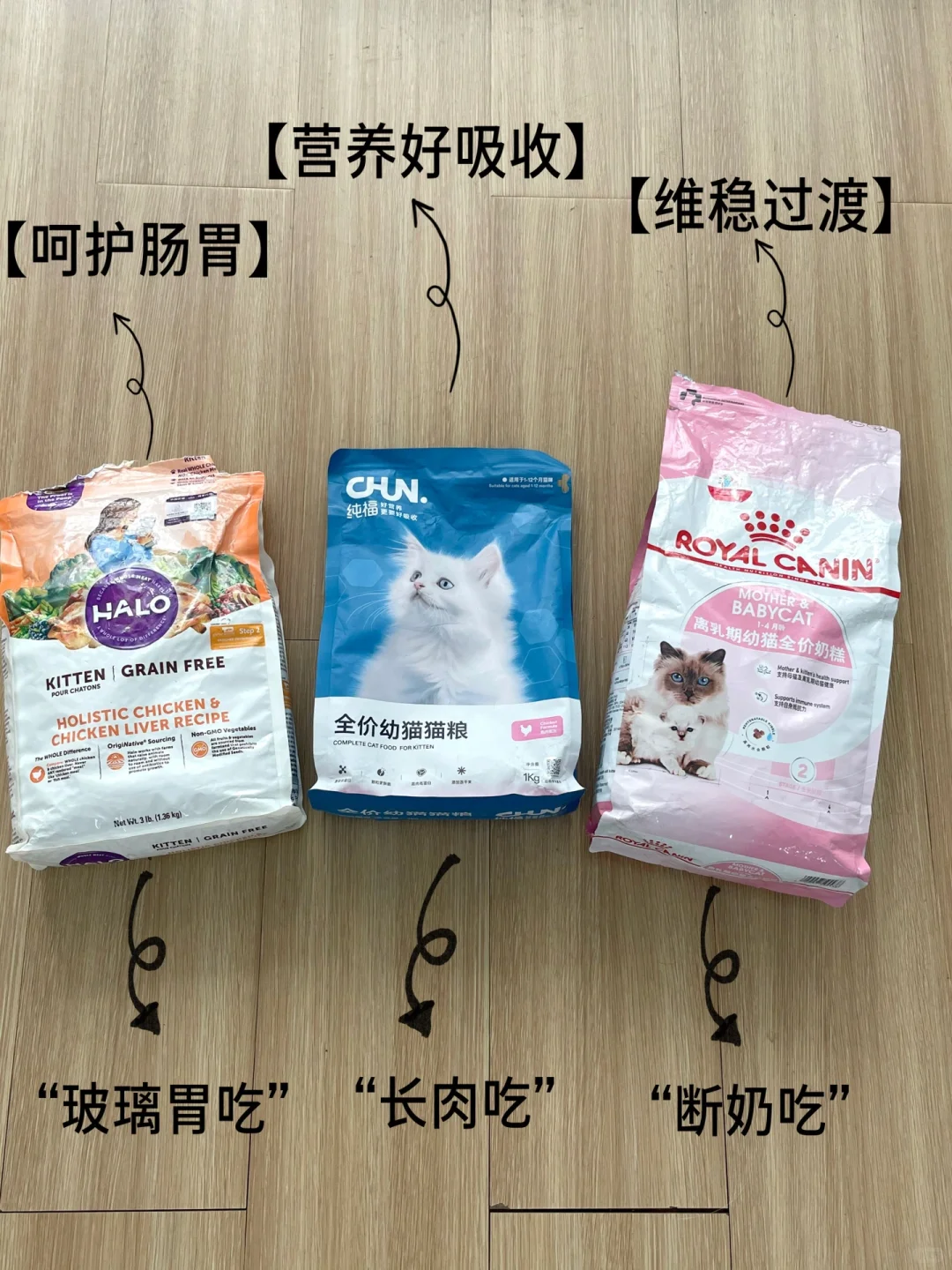 花小钱办大事的幼猫猫粮推荐！都是高性价比