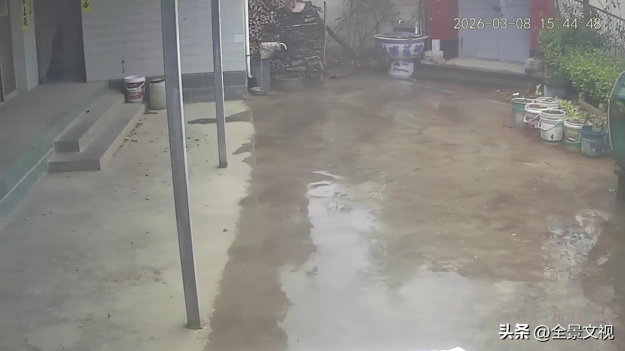 春雨贵如油。从监控里看天水老家下雨了，而且雨还不小。
       西安昨天冷的