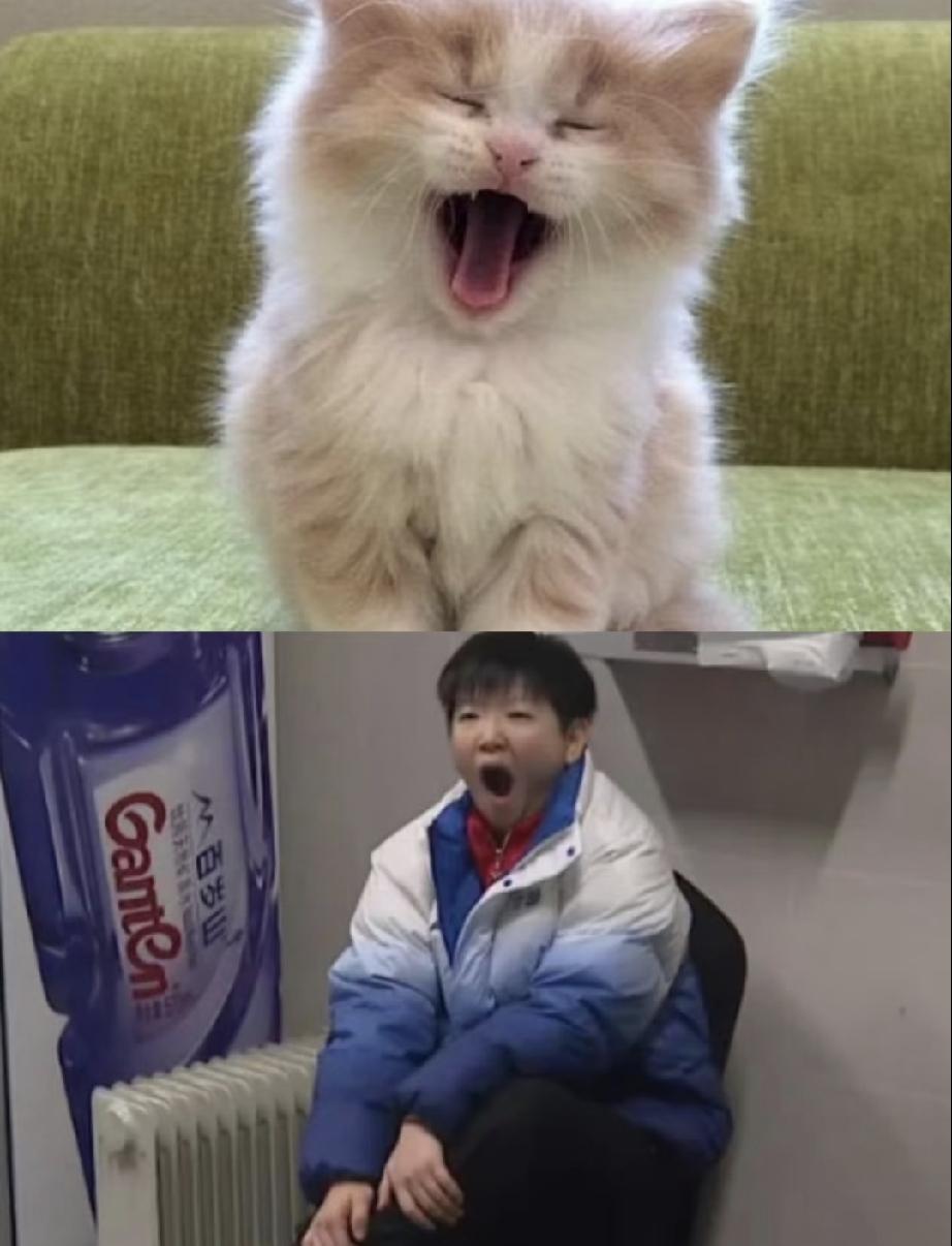 想莎莎了，可以感受下她和小猫的合影。
看到这一张张图片，每一张的角度都那么好，简