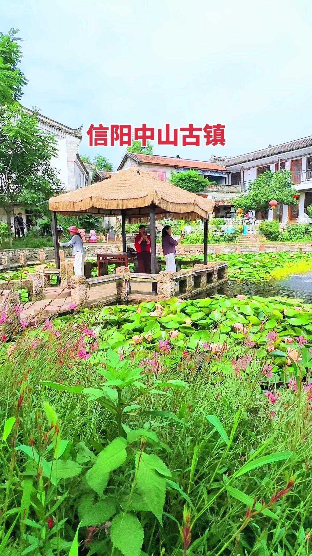 不用奔赴江南，在信阳中山古镇就能邂逅满池荷花。小桥横跨荷塘，晚风拂过，带着淡淡的