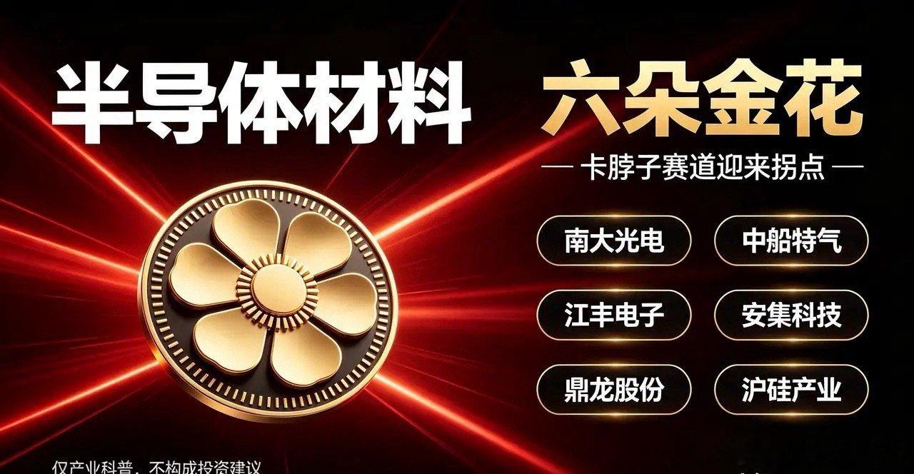 半导体材料六朵金花！卡脖子赛道迎来拐点⚠️免责声明：本文仅做半导体产业链产业知识