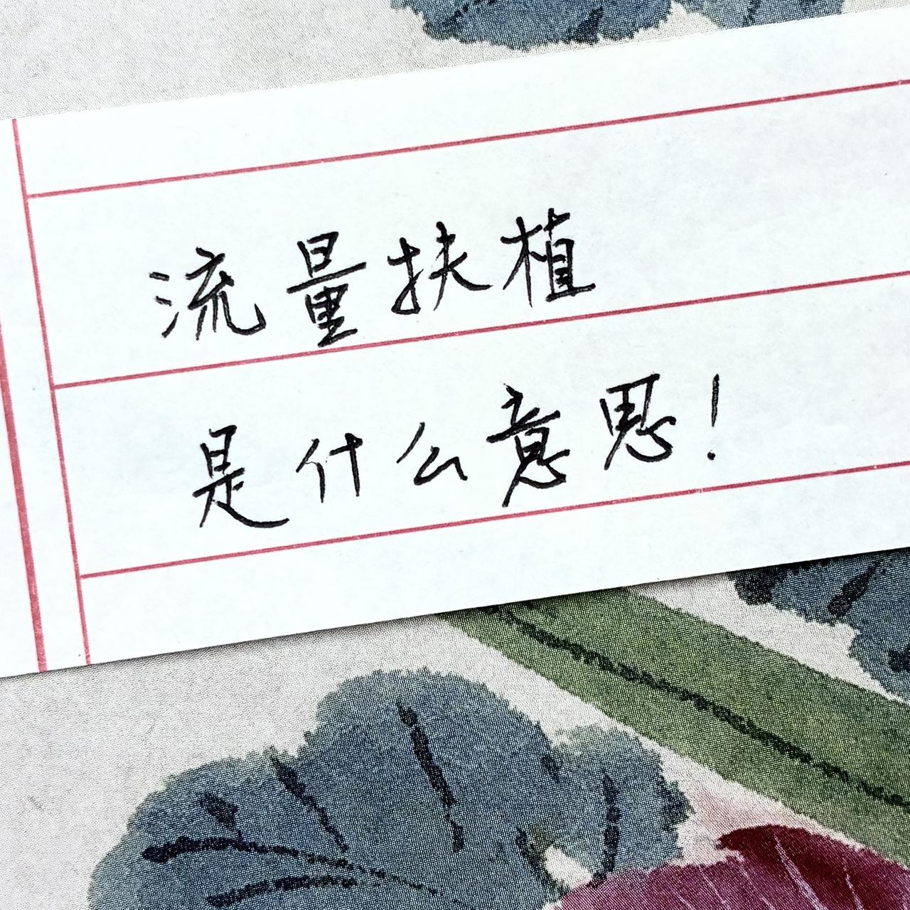 流量扶植