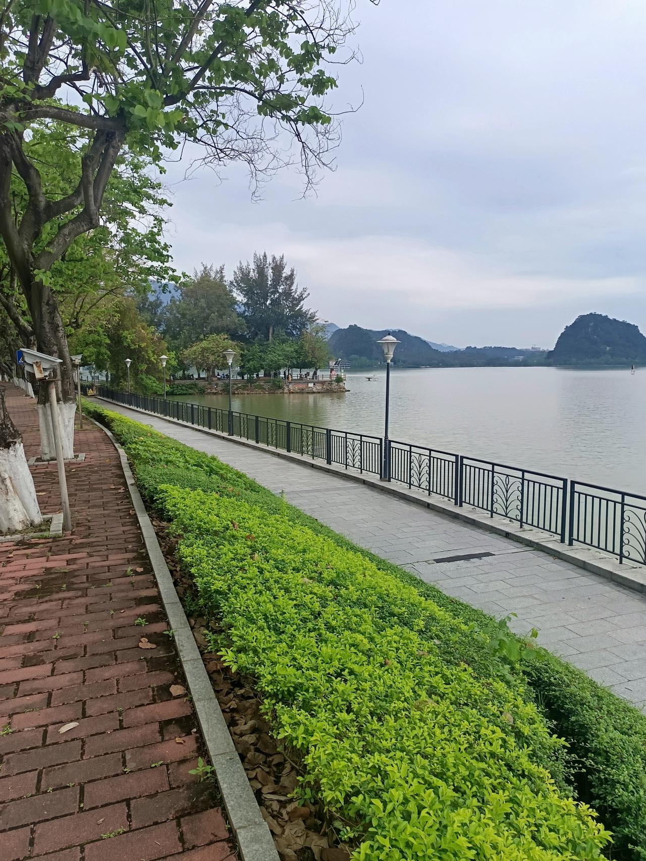 我终于知道了
为什么说肇庆是5a级的风景区，有两个
却依然没有什么游客要来

