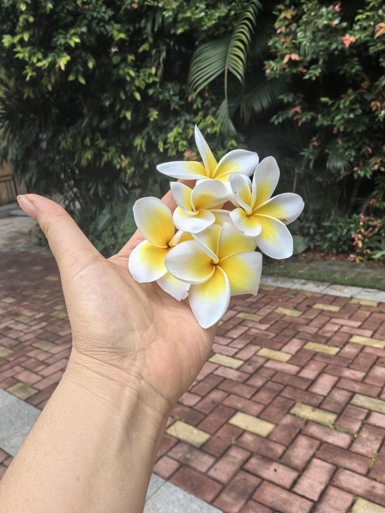 纠结了，本科毕业的儿子，工作一年了。

工作虽然不算理想，但是比起那些啃老的，也