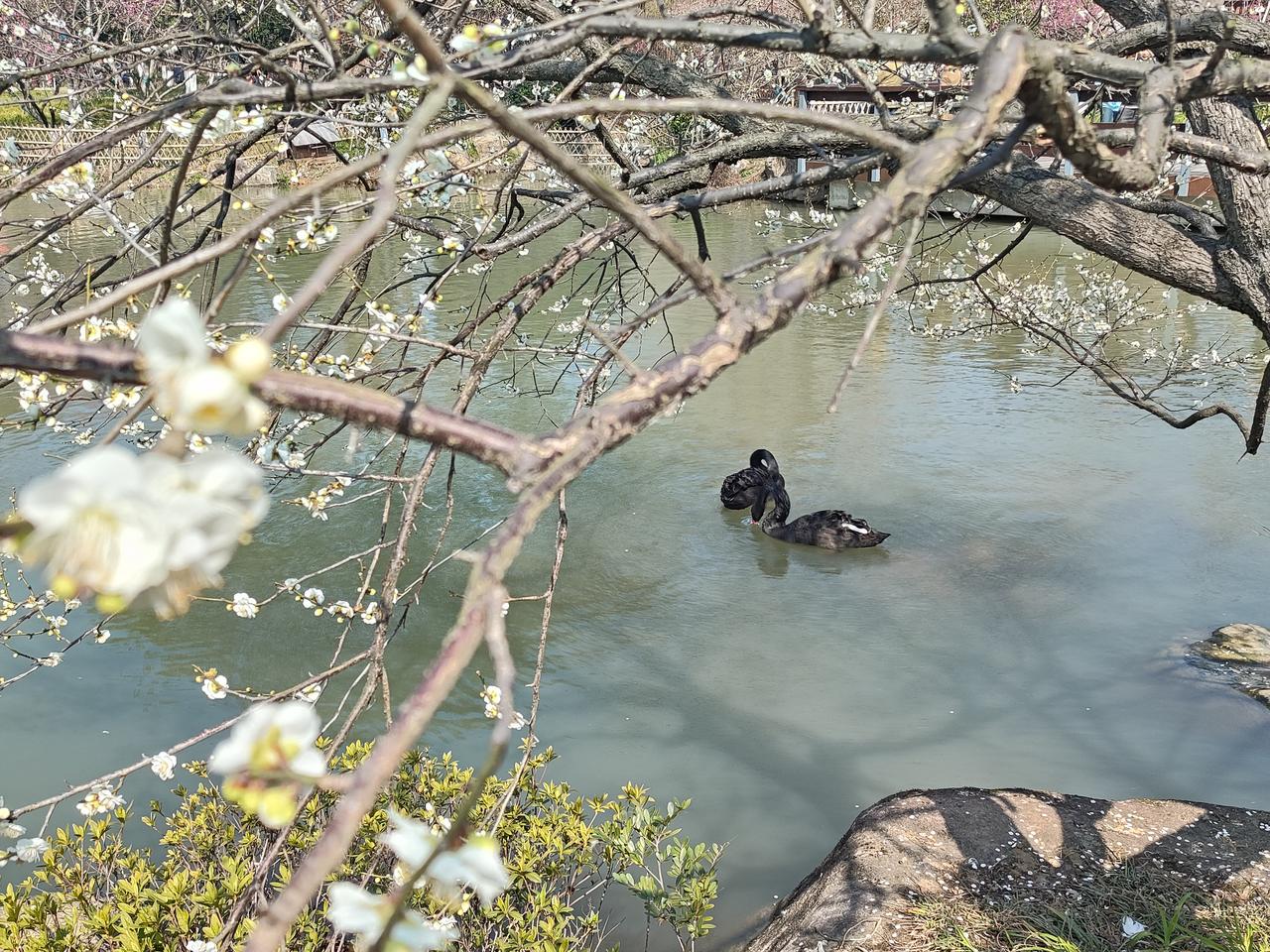 晒一晒手机里的风景照