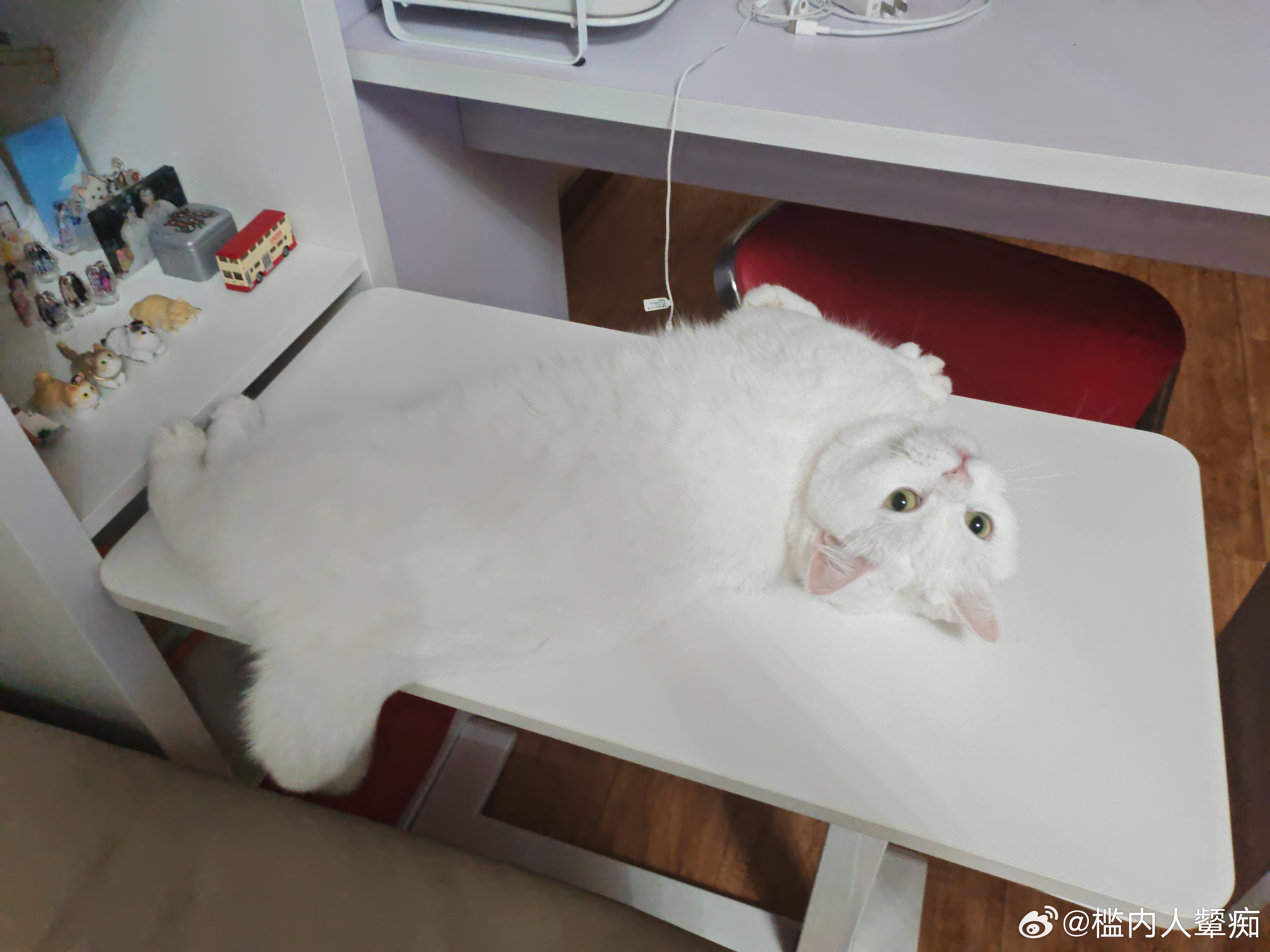 周边柜守护咪