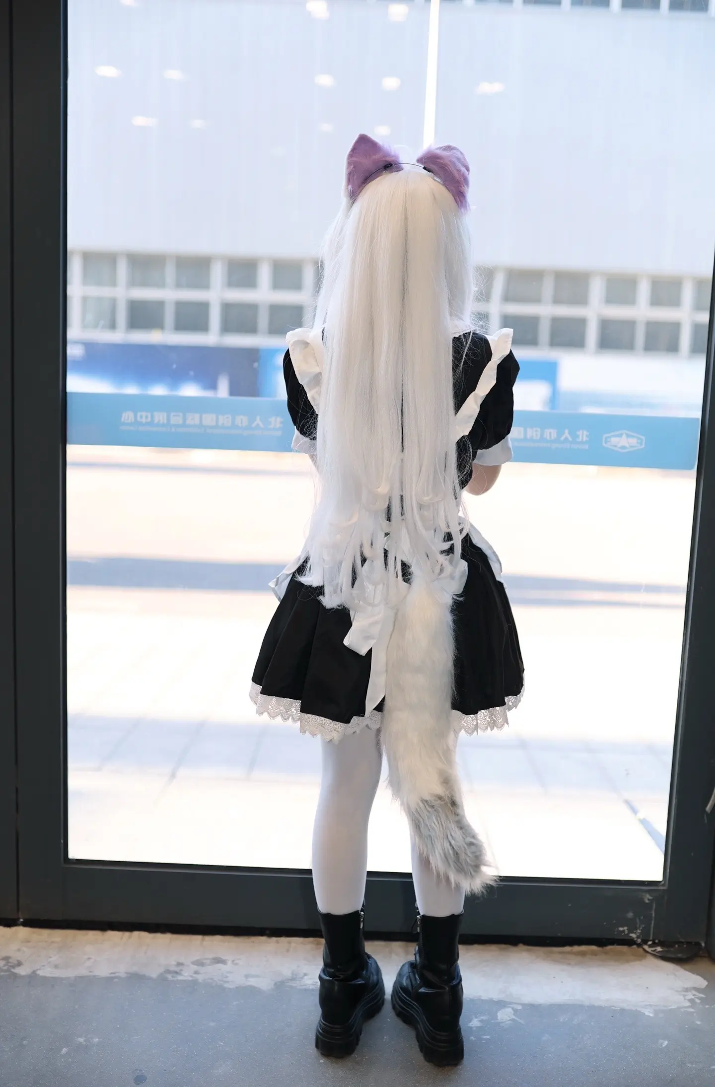 申请成为你的小猫。 🧚‍♀️：李虚