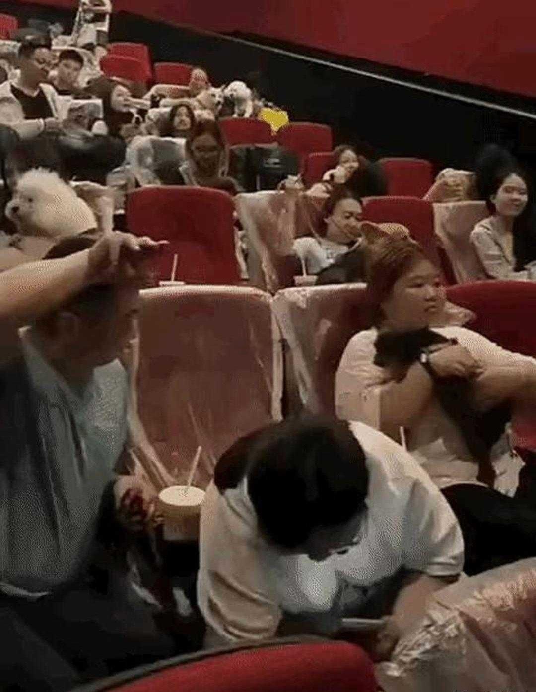 不要告诉我这是电影院？？？ 