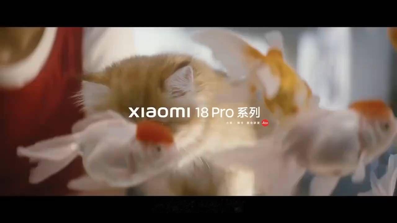 "果粉哭晕！新iPhone涨价竟无人买单"