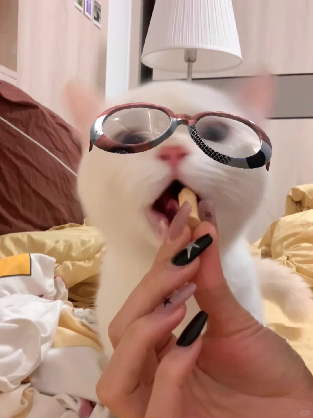 跟高智小猫是一点边没沾上